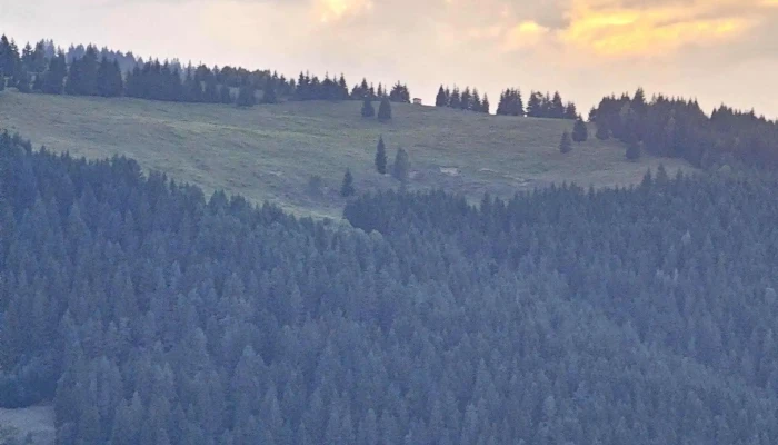 Piatra Teiului Piatra Dracului Cum Să Ajungi Acolo - Poiana Teiului