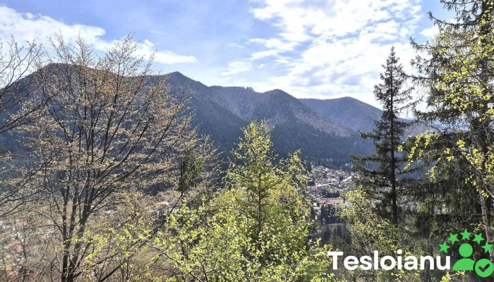 Piatra Șoimilor - Romania