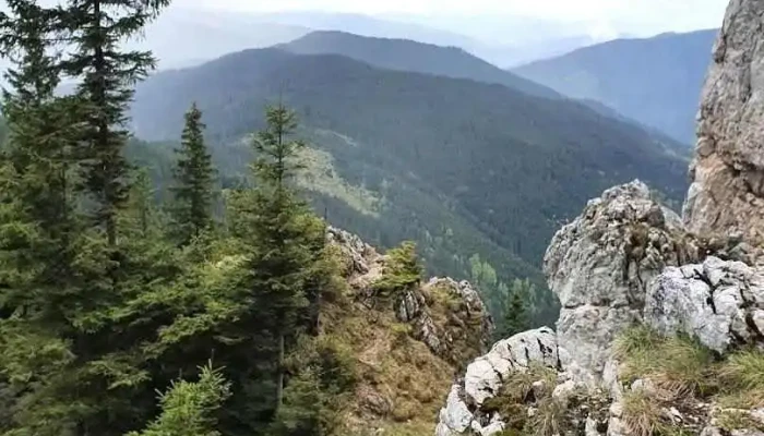 Piatra Șoimului - Piatra Șoimului