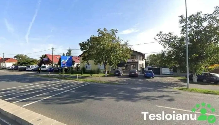 Piese Auto - Moșnița Nouă 307285
