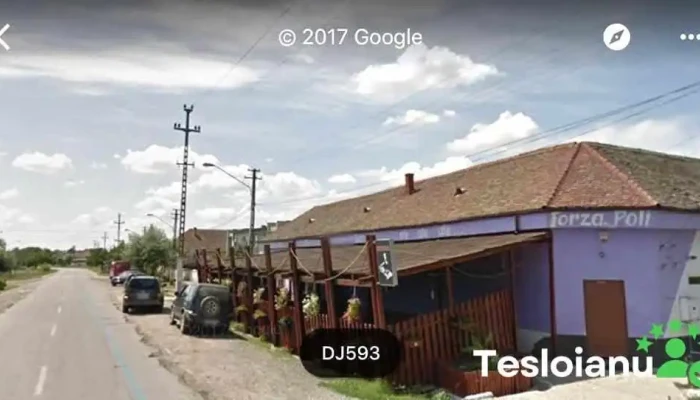 Piese Auto - Peciu Nou 307310