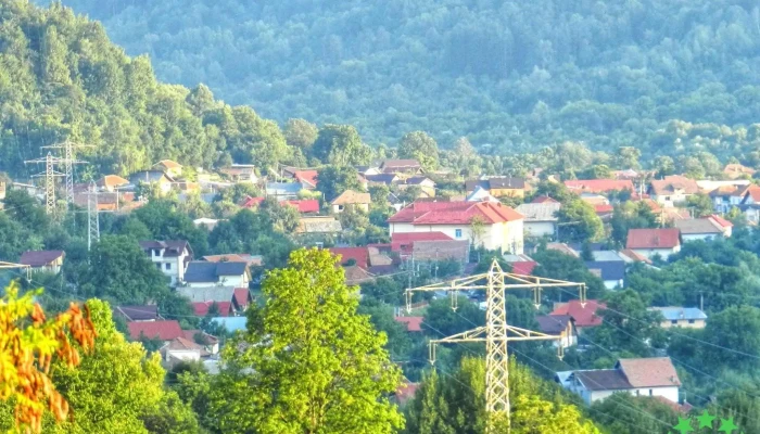 Pietrosita Fotografii - Pietroşiţa