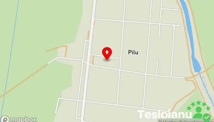 hartă a Pilu  în Pilu