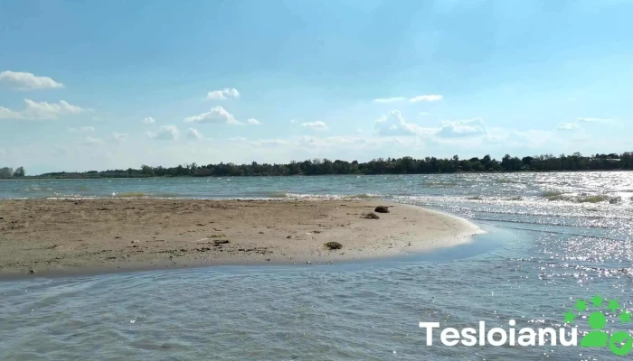 Plaja Cetate -  Plaja - Romania