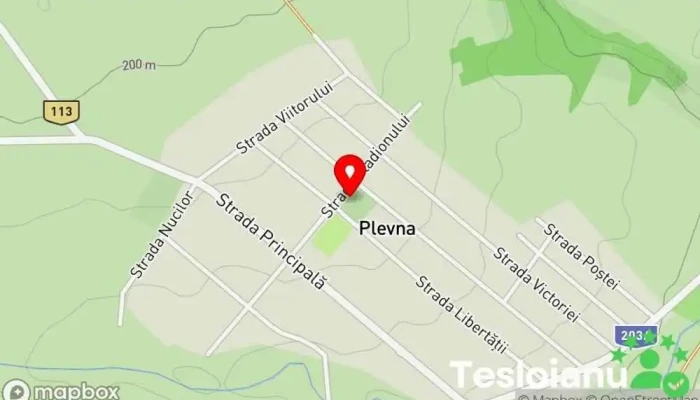 hartă a Plevna  în Plevna