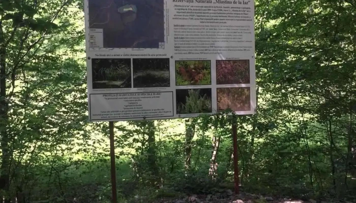 Plopis Prețuri - Plopiș