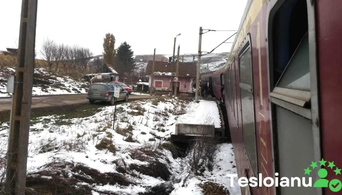 Ploscos Tren - Romania