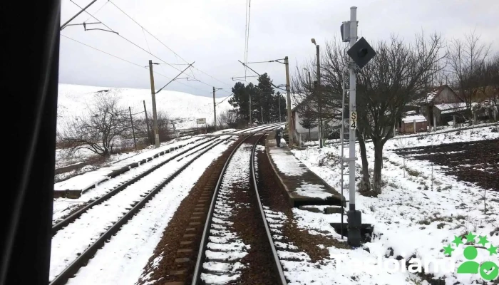 Ploscoș - Romania