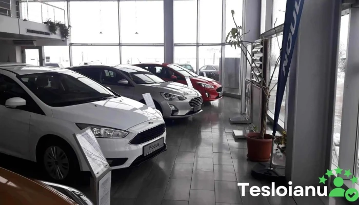 Plus Auto Com Alexandria - Alexandria 140073