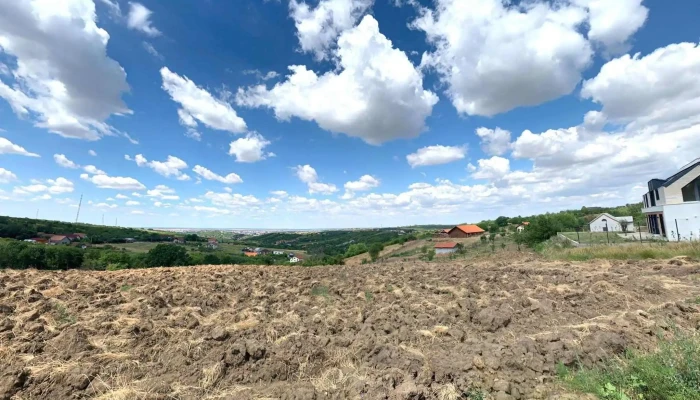Podgoria -  Street View Si 360deg - Podgoria