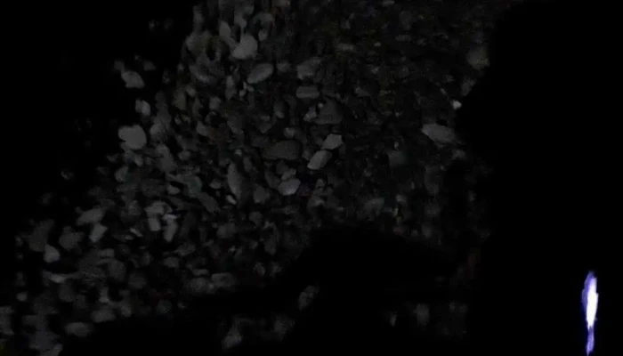 Podoleni -  Videoclipuri - Podoleni