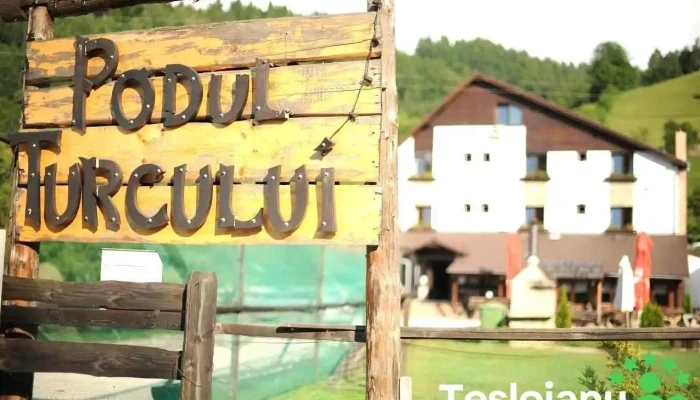 Podul Turcului -  De La Vizitatori - Moieciu De Jos