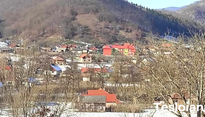 Poiana Blenchii -  Telefon - Poiana Blenchii