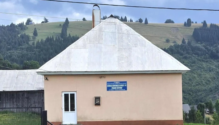 Poiana Catunenilor Comentarii - Ivăneasa