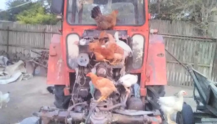 Poiana Mare -  Cum Să Ajungi Acolo - Poiana Mare