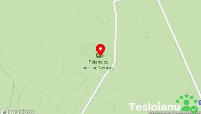 hartă a Poiana Narciselor Negrasi Rezervație naturală, Atracție turistică în DJ679D