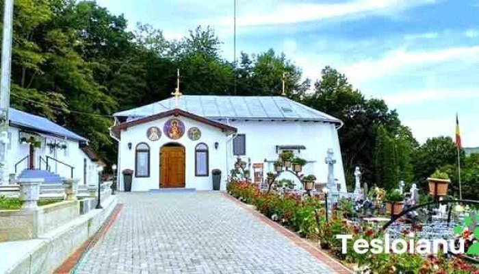 Poienari -  Recenzii - Poienari