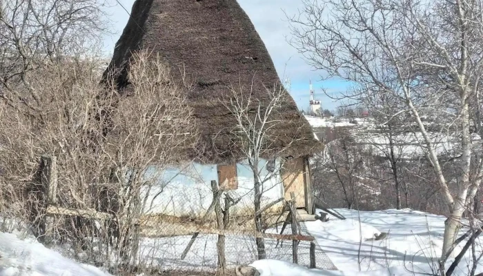 Poieni -  Adresă - Poieni
