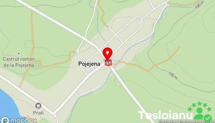 hartă a Pojejena  în Pojejena