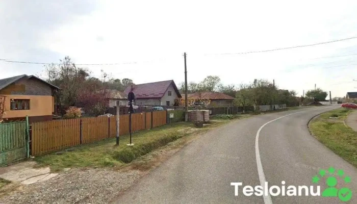 Polish Fraruri/Stopuri Nisipoasa - Nisipoasa