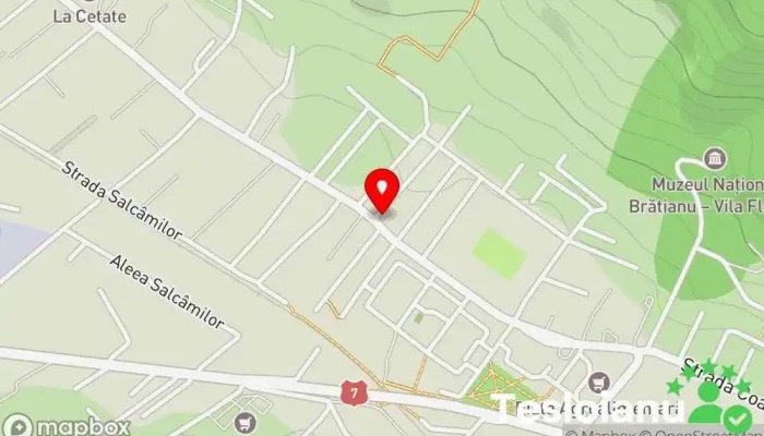 hartă a Poliția orașului Ștefănești Poliția statală în Ștefăneștii Noi