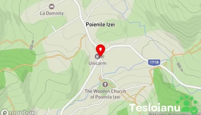 hartă a Poliția Poienile Izei Secție de poliție în Poienile Izei