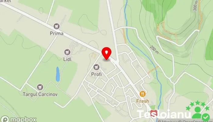 hartă a POLIŢIA TOPOLOVENI Sediul social în Topoloveni