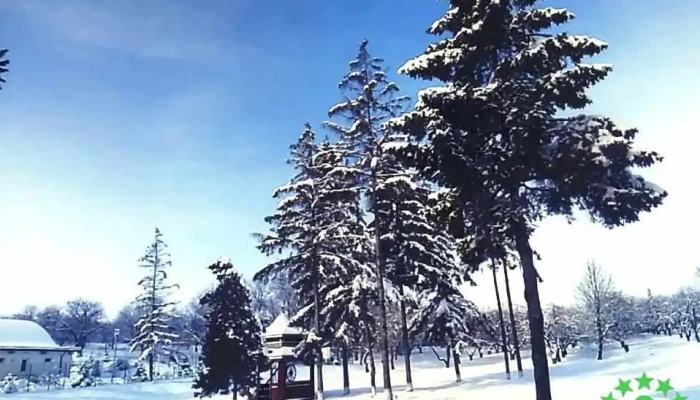 Pomarla Instagram - Pomârla