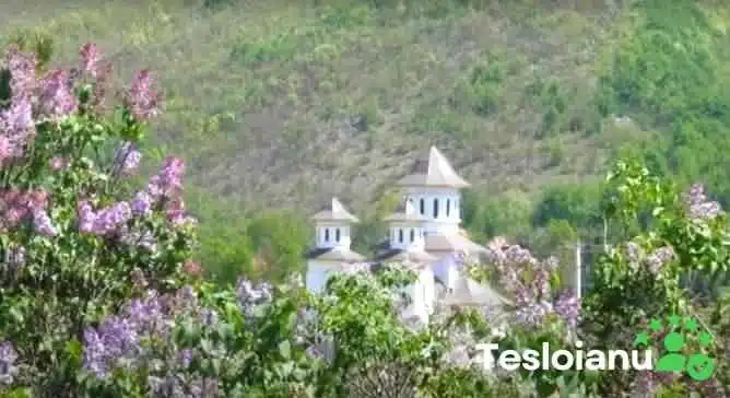Ponoarele -  Promoție - Ponoarele