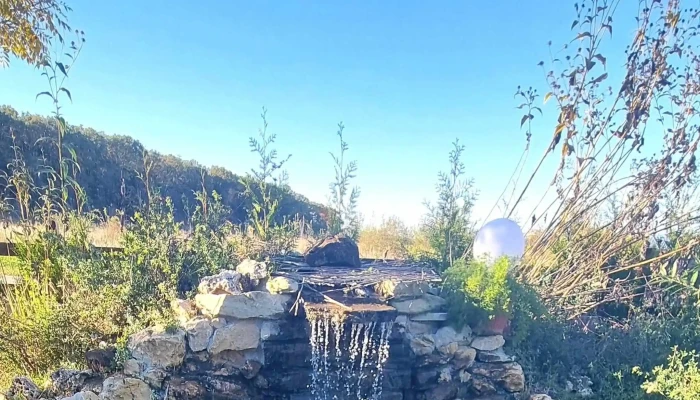 Popas "La Padure" - Finteușu Mare