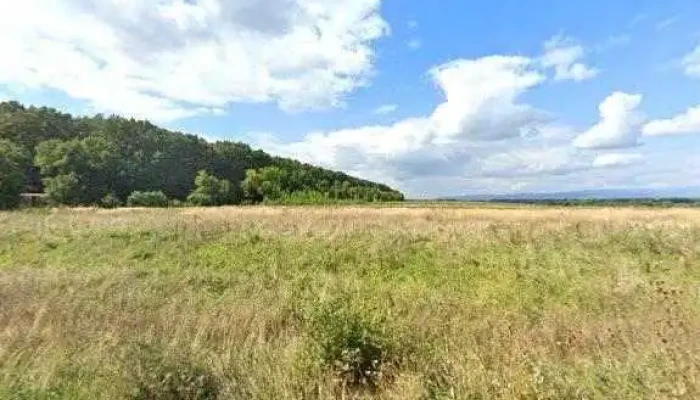 Popas La Padure Street View Si 360deg - Finteușu Mare