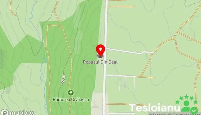 hartă a Popasul din Deal Bed & Breakfast în Ocna Șugatag