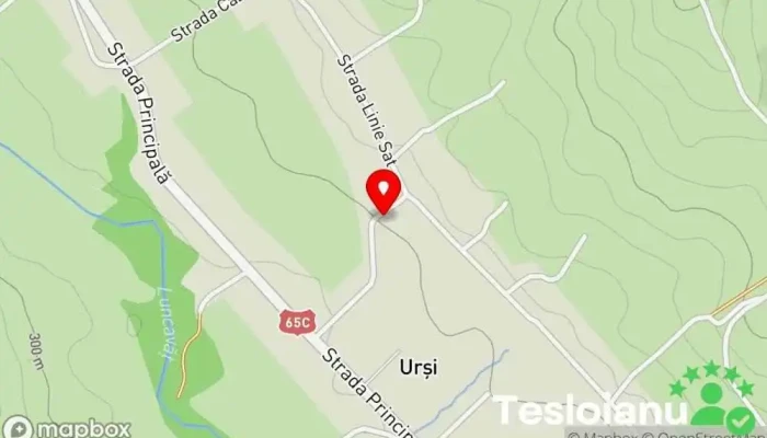 hartă a Popeşti  în Popeşti
