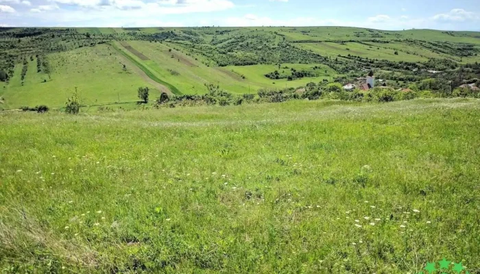 Poroina Mare - Poroina Mare