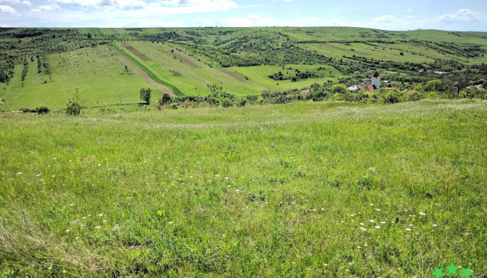 Poroina Mare -  Prețuri - Poroina Mare
