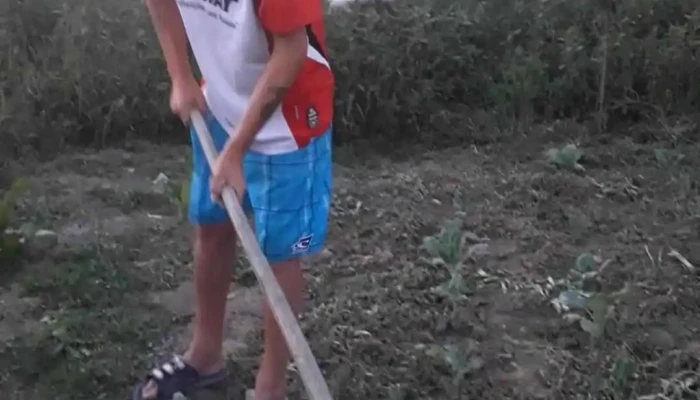 Prajesti Videoclipuri - Prăjești