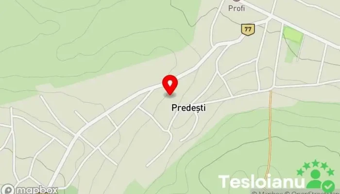 hartă a Predești  în Predești
