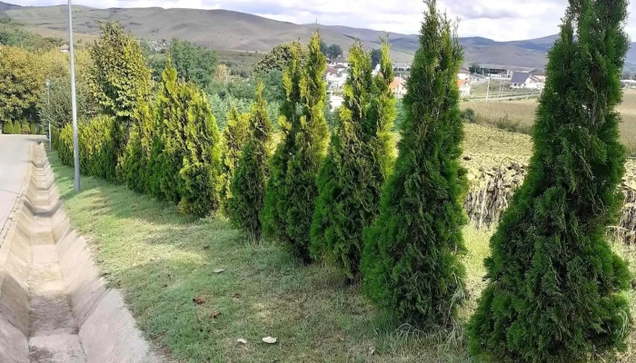 Primaria Blaj Adresă - Blaj