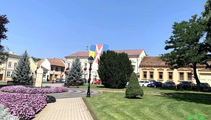 Primaria Blaj Peisaj - Blaj
