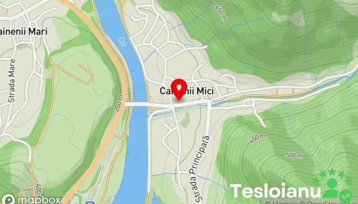 hartă a Primăria Câineni Primărie în Câinenii Mici