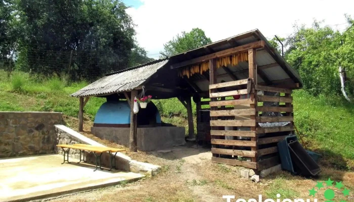 Primaria Camarzana Peisaj - Cămărzana