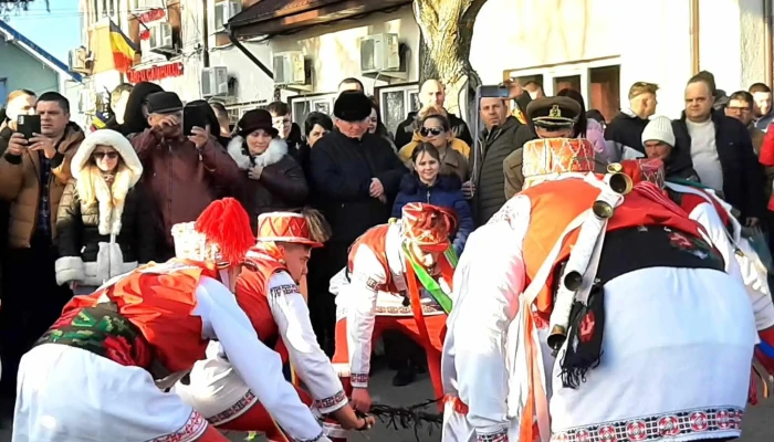 Primaria Comunei Vf Campului Varfu Campului - Vârfu Câmpului