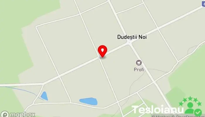 hartă a Primăria Dudeștii Noi Primărie în Dudeștii Noi