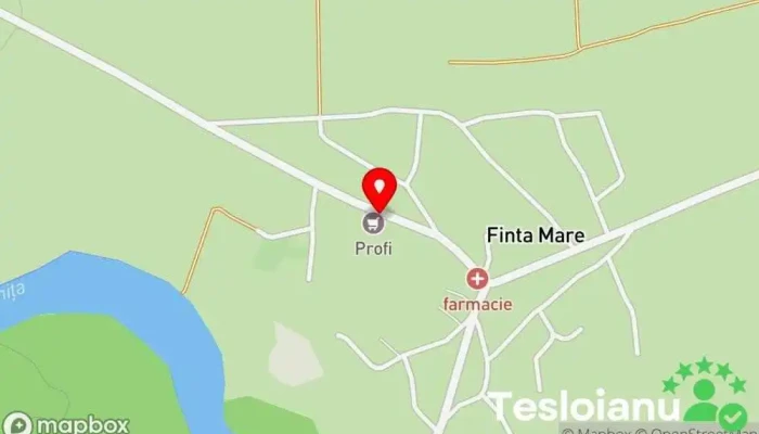 hartă a Primaria Finta Primărie în Finta Mare