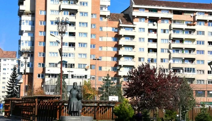 Primaria Municipiului Miercurea Ciuc Număr - Miercurea Ciuc