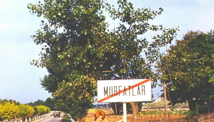 Primaria Murfatlar Deschis Acum - Murfatlar