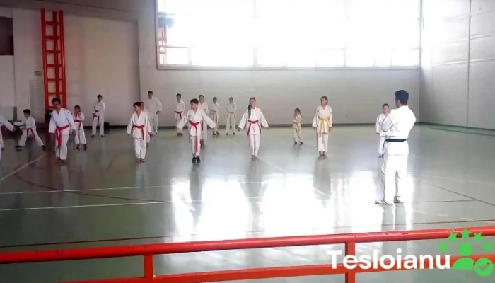 Primaria Nicolae Balcescu Videoclipuri - Nicolae Bălcescu