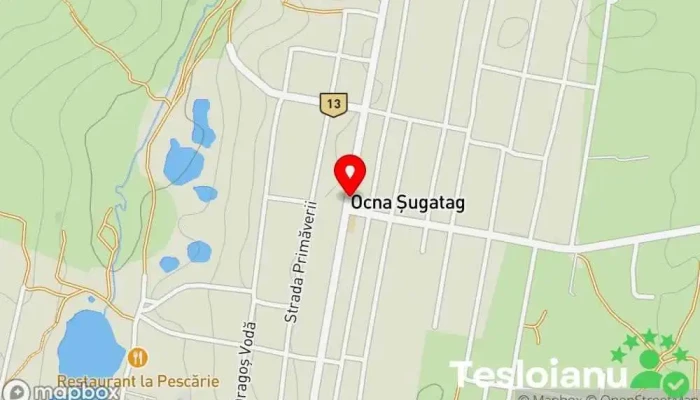 hartă a Primăria Ocna Sugatag Primărie în Ocna Șugatag