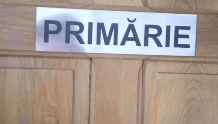 Primaria Pietroasele Comentarii - Str. Principala, Dj205 188