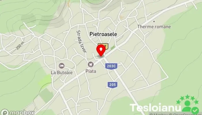 hartă a Primăria Pietroasele Primărie în Str. Principala, DJ205 188